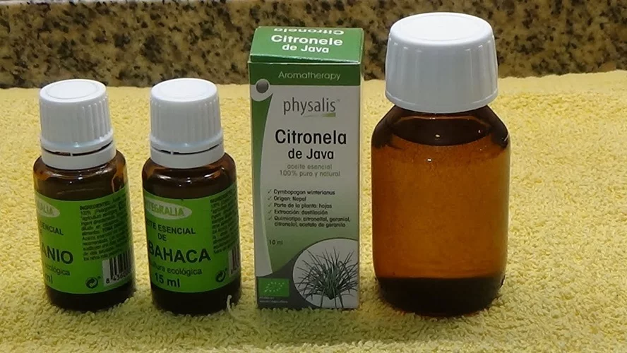 4 Repelentes naturales de mosquitos para el verano en Cuba 2 gentecuba.com