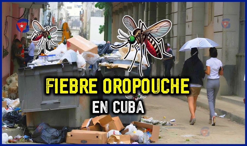 La Fiebre Oropouche Un Problema Emergente en La Habana gentecuba.com
