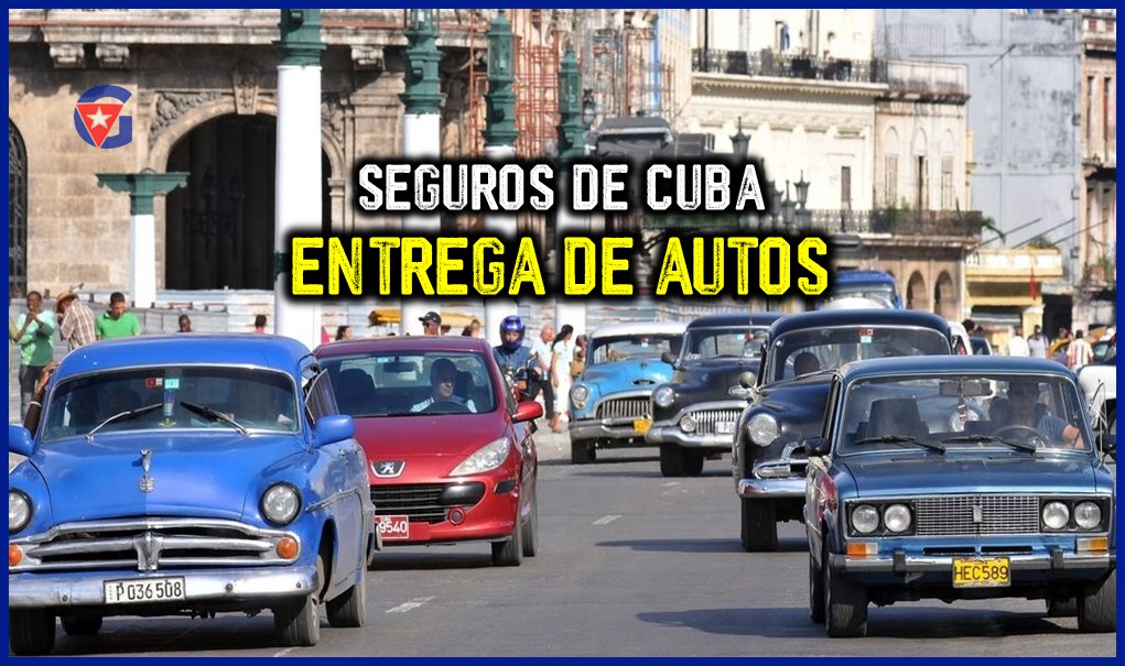 Empresa de Seguros en Cuba ha entregado solo 31 Vehículos en 2024 gentecuba