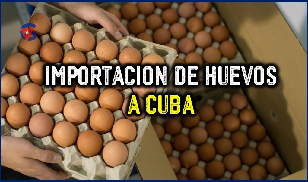 Huevos en Cuba Importaciones Millonarias a Pesar de la Crisis Gente Cuba